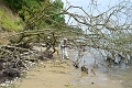 23 06 16_7934_edited-1